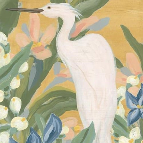 Bird Art
